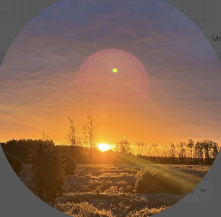 Screenshot 2025 11 18 at 5.12.10 pm